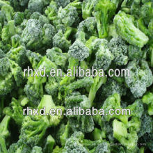 verduras congeladas IQF verduras